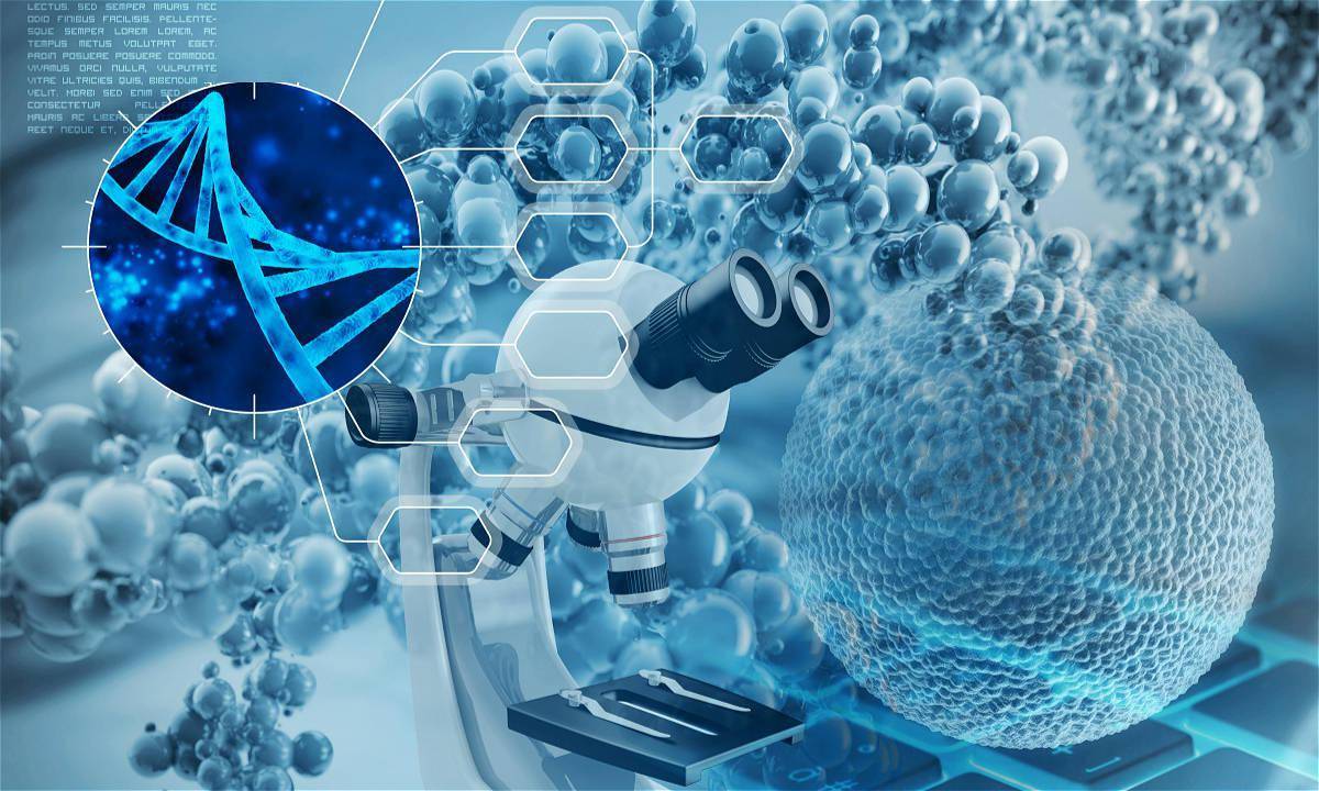 生物基材料及中間體研發商利夫生物完成近兩億元b輪__